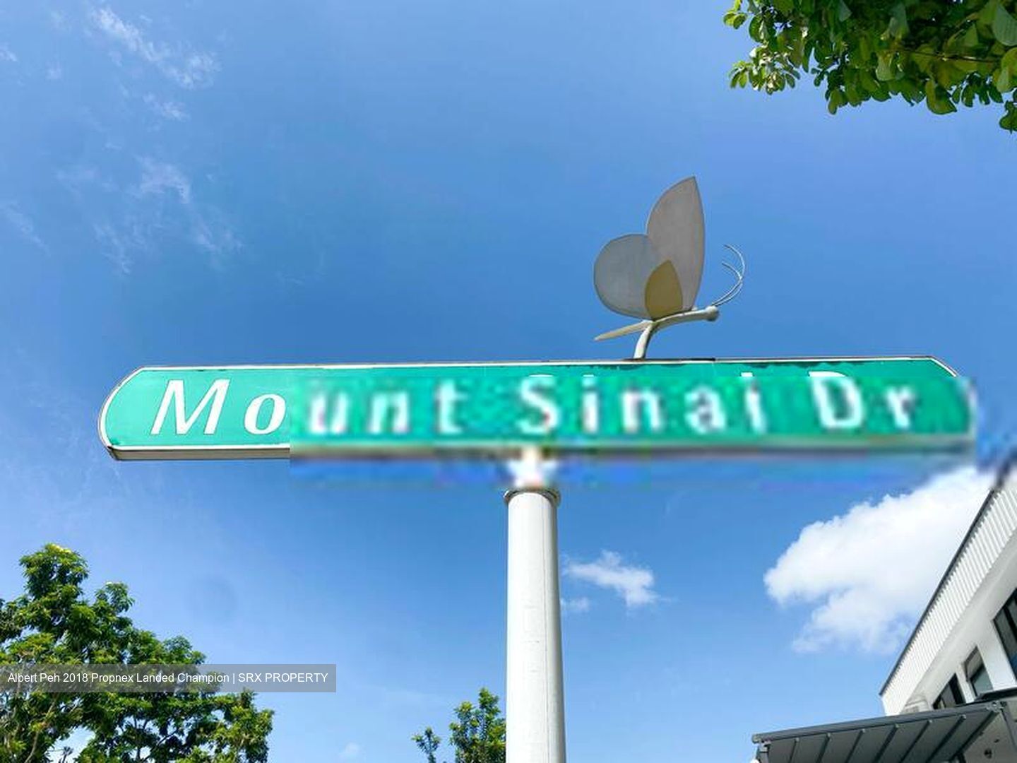 Mount Sinai (D10), Terrace #409432911